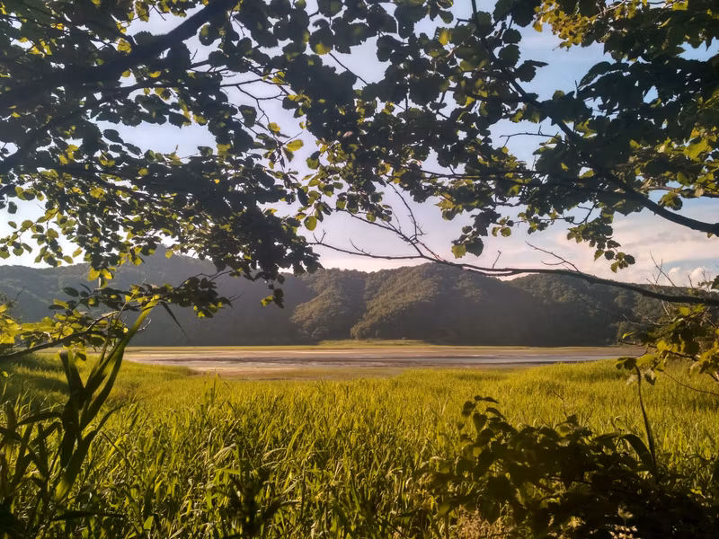 Озеро Птичье.