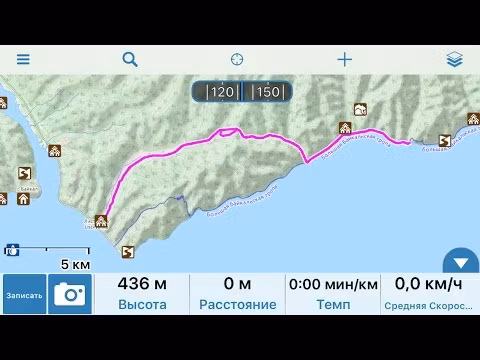 Топинамбур