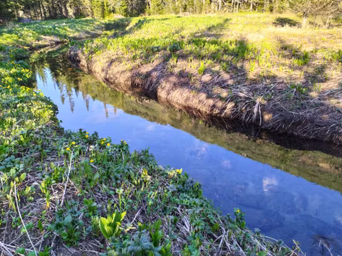 Хамардабания