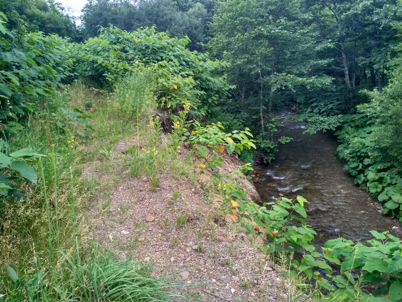 В одном месте речка основательно подмыла насыпь