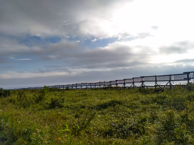 Снегозадерживающее заграждение.