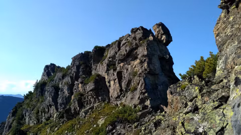 Последний глоток лета