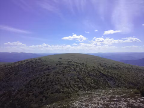 Пик Чекановского