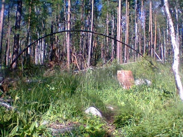 Вход в цирк Динозавра