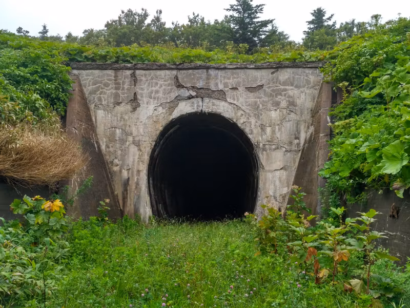 Уютная полянка за вторым тоннелем