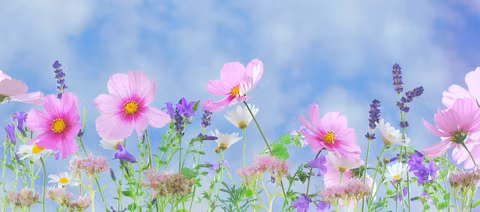 Поздравляем Алексея с Днем рождения!