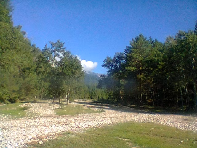 Вход на зуновскую тропу