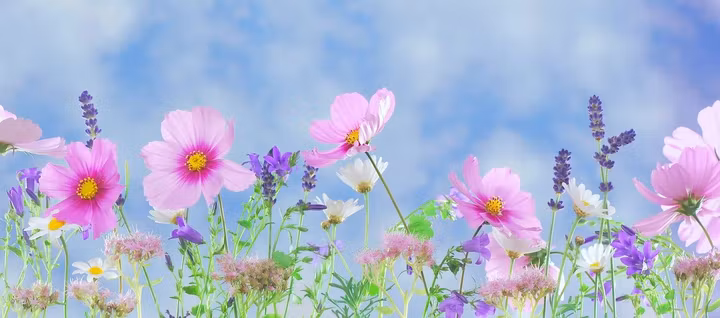 Поздравляем Алексея с Днем рождения!