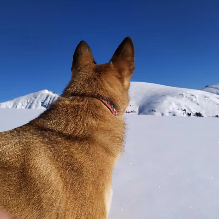 #саянкойпотропе