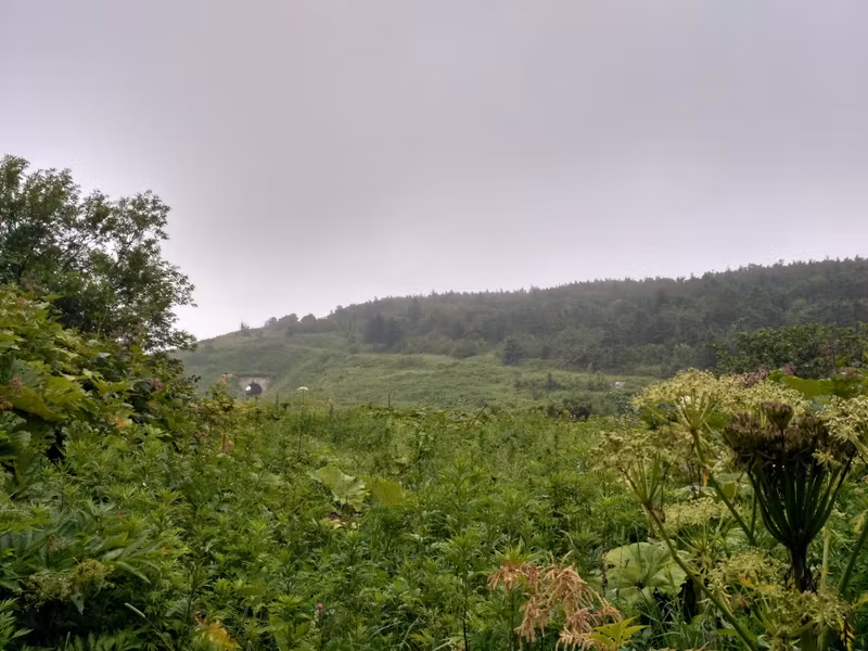 Первый тоннель от устья второго