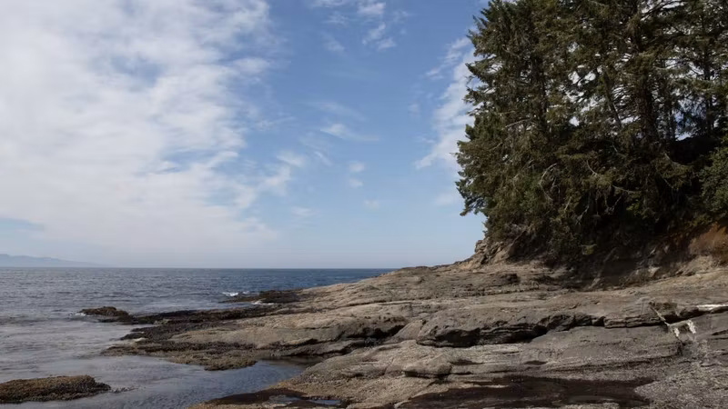 Морские обитатели