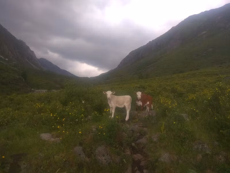 Перевал хубутский