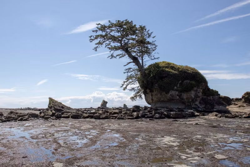 Берег во время отлива