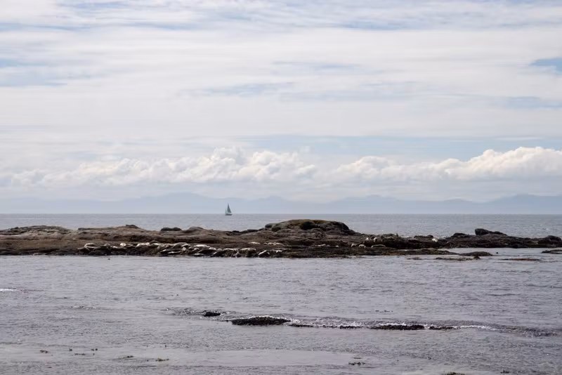 Скелет кита рядом с маяком